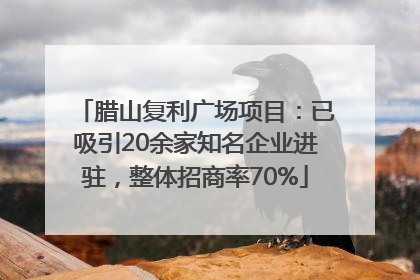 腊山复利广场项目：已吸引20余家知名企业进驻，整体招商率70%